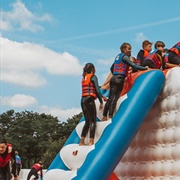 PELICAN - De Lilse Bergen