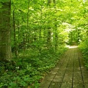 Gross Woods State Nature Preserve