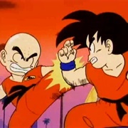 95. Goku vs. Krillin