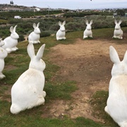Bunnyhenge