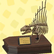 Dimetrodon Skull