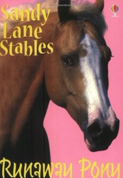 Runaway Pony (Michelle Bates)