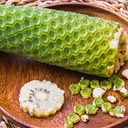 Swiss Cheese Plant (Monstera Deliciosa)