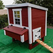 Built a Chicken Coop