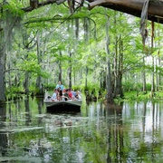 Honey Island Swamp