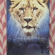 The Lion, the Witch, and the Wardrobe (2004)