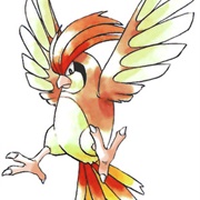 #0017 Pidgeotto