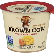 Apricot Mango Yogurt