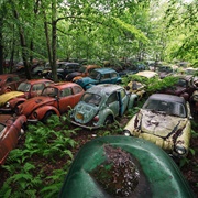 Florida's Volkswagen Graveyard