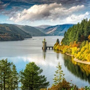 Vyrnwy