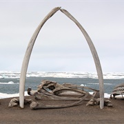 Barrow Whale Bone Arch