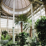 Glyptoteket Museum & Winter Garden, Copenhagen