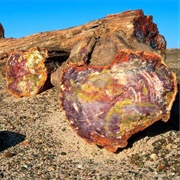Lesvos Petrified Forest, Lesbos, Greece