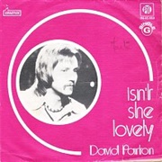 Isn't She Lovely - David Parton