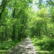 Taylorsville Metropark