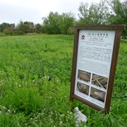 Tagoyano Site, Tsugaru