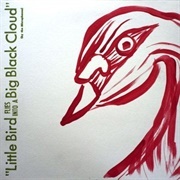 The Microphones - Little Bird Flies Into a Big Black Cloud