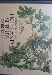 Field Guide to the Trees and Shrubs of Britain (Reader's Digest)