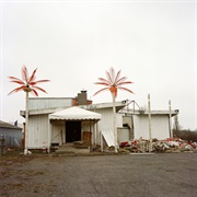 Bot'ox - The Face of Another