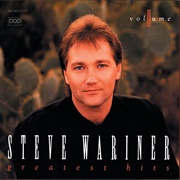 Where Did I Go Wrong - Steve Wariner