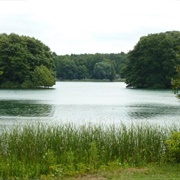 Königswald Mit Havelseen Und Seeburger Agrarlandschaft