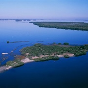 Pelican Island
