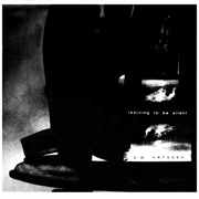 C.W. Vrtacek - Learning to Be Silent