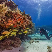 Biscayne National Park