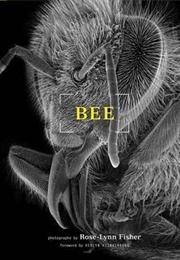 Bee (Rose-Lynn Fisher)