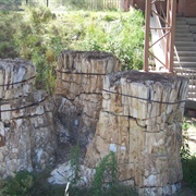 Florissant Fossil Beds, CO (NPS)