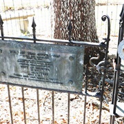 The Tree That Owns Itself