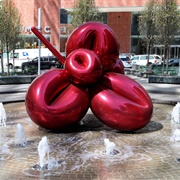 Balloon Flower - New York
