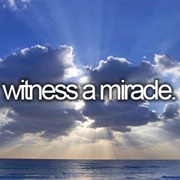 Witness a Miracle