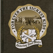 Hey Brittany - Forever the Sickest Kids