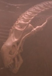 Xenomorph Skull ("Predator 2") (1990)