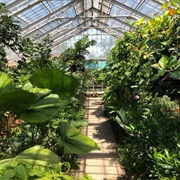 Matthaei Botanical Gardens