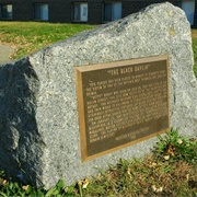 Black Dahlia Memorial