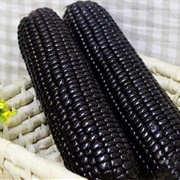 Black Corn
