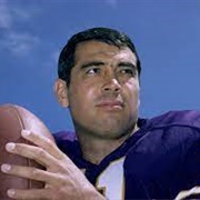 Joe Kapp