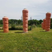 Food Gatherers' Giant Carrots