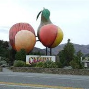 Cromwell Giant Apricot, Apple, Pear and Nectarine