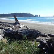 First Beach, La Push, WA