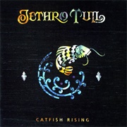 Catfish Rising (Jethro Tull, 1991)