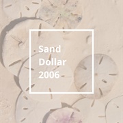 Pantone Color of the Year 2006: Sand Dollar