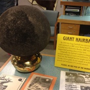 World's Largest Hairball