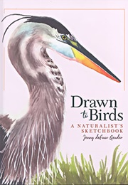 Drawn to Birds: A Naturalist's Sketchbook (Jenny Defouw Geuder)