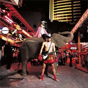 The Seatbelts - Knocking on Heaven's Door