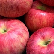 Fuji Apple in Fujisaki, Japan