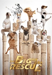 The Big Rescue (2018)