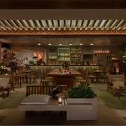 Zapote Bar (Playa Del Carmen)